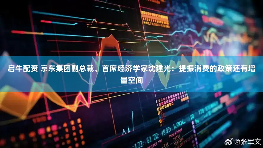启牛配资 京东集团副总裁、首席经济学家沈建光：提振消费的政策还有增量空间