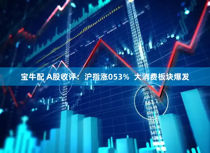 宝牛配 A股收评：沪指涨053%  大消费板块爆发